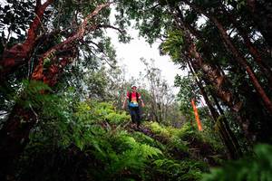 BIB: 
                            <button type="button" onclick="openModal(26202980)" class="btn btn-primary btn-sm float-right btn-popup" data-toggle="modal" data-target=".modal-high-quality">
                        <i class="fas fa-shopping-cart"></i> Add to Cart
                    </button>
                                            <button type="button" onclick="isThisMe(26202980, true)" class="btn btn-success btn-sm float-right btn-popup btn-isme hidden" data-toggle="tooltip" data-placement="bottom" title="นี่คือรูปของคุณใช่ไหม คลิกที่นี่เพื่อเอาเข้าอัลบั้ม">
                        <i class="fas fa-plus"></i> Add to album
                    </button>
                    <button type="button" onclick="isThisMe(26202980, false)" class="btn btn-warning btn-sm float-right btn-popup btn-isnotme hidden">
                        <i class="fas fa-ban"></i> Remove from album
                    </button>